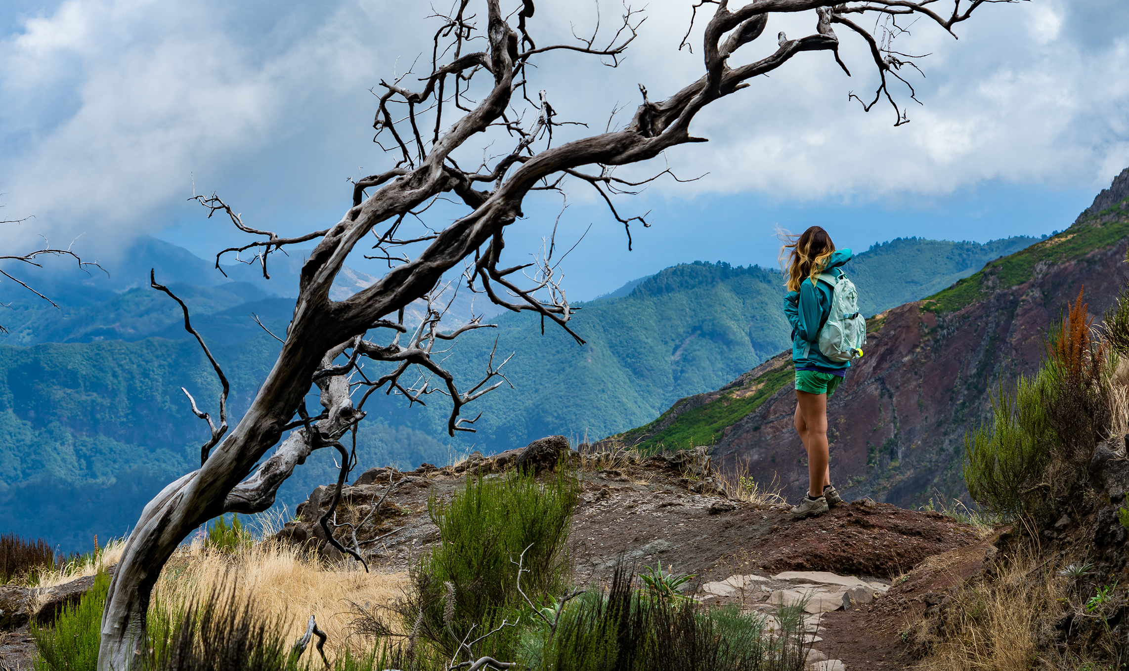 The Peaks Experience